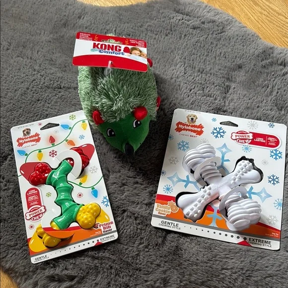 KONG Festive Hedgehog Plush Toy & Nylabone snowflake & light - Picture 1 of 4